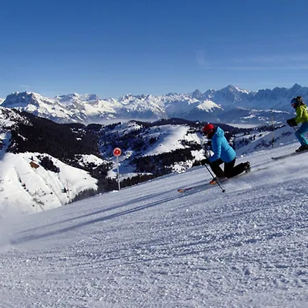 6 Pers. Avec Piscine Aux Pieds Des Pistes - Fr-1-505-218